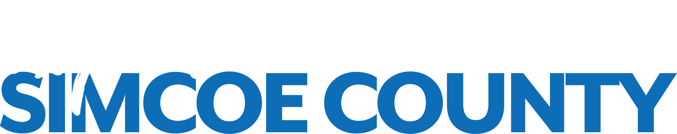 Logo-Experience Simcoe County